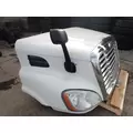 FREIGHTLINER CASCADIA 113 Hood thumbnail 1