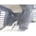 FREIGHTLINER CASCADIA 113 Hood thumbnail 9