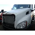 FREIGHTLINER CASCADIA 113 Hood thumbnail 1