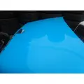 FREIGHTLINER CASCADIA 113 Hood thumbnail 13