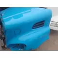 FREIGHTLINER CASCADIA 113 Hood thumbnail 2