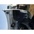 FREIGHTLINER CASCADIA 113 Hood thumbnail 9