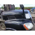 FREIGHTLINER CASCADIA 113 Hood thumbnail 3