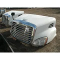 FREIGHTLINER CASCADIA 113 Hood thumbnail 2