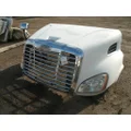FREIGHTLINER CASCADIA 113 Hood thumbnail 2