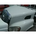 FREIGHTLINER CASCADIA 113 Hood thumbnail 2
