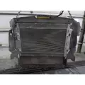 FREIGHTLINER CASCADIA 113 RADIATOR ASSEMBLY thumbnail 3