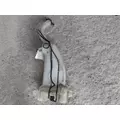 FREIGHTLINER CASCADIA 113 WINDSHIELD WASHER RESERVOIR thumbnail 4