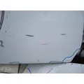 FREIGHTLINER CASCADIA 116-126 DOOR ASSEMBLY, FRONT thumbnail 3