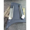 FREIGHTLINER CASCADIA 116 CAB SKIRTSIDE FAIRING thumbnail 2