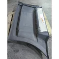FREIGHTLINER CASCADIA 116 CAB SKIRTSIDE FAIRING thumbnail 8