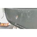 FREIGHTLINER CASCADIA 116 DOOR ASSEMBLY, FRONT thumbnail 3