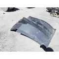 FREIGHTLINER CASCADIA 116 FENDER EXTENSION thumbnail 2
