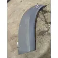 FREIGHTLINER CASCADIA 116 FENDER EXTENSION thumbnail 2