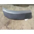 FREIGHTLINER CASCADIA 116 FENDER EXTENSION thumbnail 4