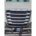 FREIGHTLINER CASCADIA 116 GRILLE thumbnail 1
