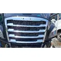FREIGHTLINER CASCADIA 116 GRILLE thumbnail 1