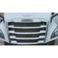 FREIGHTLINER CASCADIA 116 GRILLE thumbnail 1