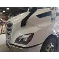 FREIGHTLINER CASCADIA 116 HOOD thumbnail 2