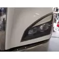 FREIGHTLINER CASCADIA 116 HOOD thumbnail 3