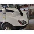 FREIGHTLINER CASCADIA 116 HOOD thumbnail 5