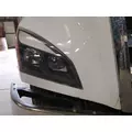 FREIGHTLINER CASCADIA 116 HOOD thumbnail 6