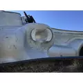 FREIGHTLINER CASCADIA 116 HOOD thumbnail 9