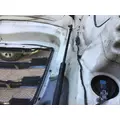 FREIGHTLINER CASCADIA 116 HOOD thumbnail 10