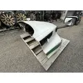 FREIGHTLINER CASCADIA 116 Hood thumbnail 4
