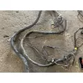 FREIGHTLINER CASCADIA 116 Wiring Harness thumbnail 4