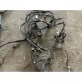 FREIGHTLINER CASCADIA 116 Wiring Harness thumbnail 5