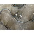 FREIGHTLINER CASCADIA 116 Wiring Harness thumbnail 7