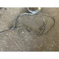 FREIGHTLINER CASCADIA 116 Wiring Harness thumbnail 8