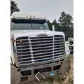 FREIGHTLINER CASCADIA 125 2007-2018 GRILLE thumbnail 1