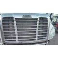 FREIGHTLINER CASCADIA 125 2007-2018 GRILLE thumbnail 1