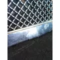 FREIGHTLINER CASCADIA 125 2008-2015 GRILLE thumbnail 5