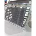 FREIGHTLINER CASCADIA 125 2008-2015 GRILLE thumbnail 6