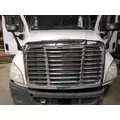 FREIGHTLINER CASCADIA 125 2008-2020 HOOD thumbnail 1
