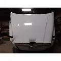 FREIGHTLINER CASCADIA 125 2008-2020 HOOD thumbnail 6