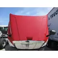 FREIGHTLINER CASCADIA 125 2008-2020 HOOD thumbnail 4