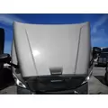 FREIGHTLINER CASCADIA 125 2008-2020 HOOD thumbnail 5