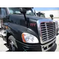 FREIGHTLINER CASCADIA 125 2008-2020 HOOD thumbnail 3