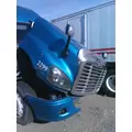 FREIGHTLINER CASCADIA 125 2008-2020 HOOD thumbnail 2