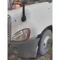 FREIGHTLINER CASCADIA 125 2008-2020 HOOD thumbnail 2