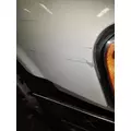 FREIGHTLINER CASCADIA 125 2008-2020 HOOD thumbnail 10