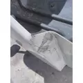 FREIGHTLINER CASCADIA 125 2008-2020 HOOD thumbnail 4