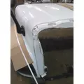 FREIGHTLINER CASCADIA 125 2008-2020 HOOD thumbnail 11