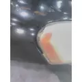 FREIGHTLINER CASCADIA 125 2008-2020 HOOD thumbnail 10
