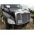 FREIGHTLINER CASCADIA 125 2008-2020 HOOD thumbnail 2