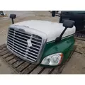 FREIGHTLINER CASCADIA 125 2008-2020 HOOD thumbnail 1